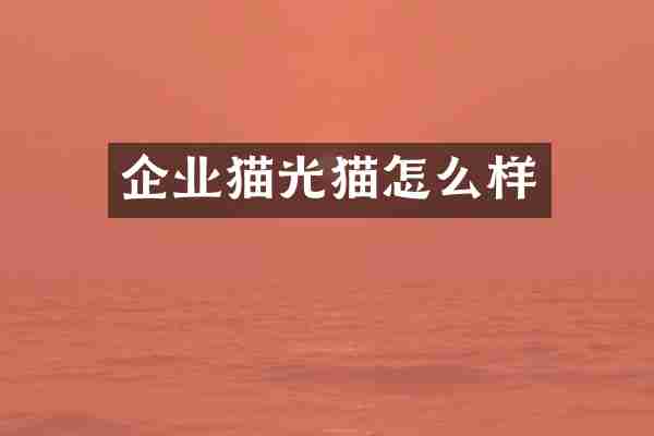 企业猫光猫怎么样