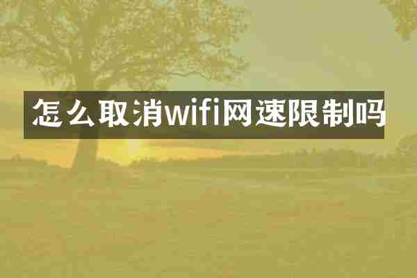 怎么取消wifi网速限制吗