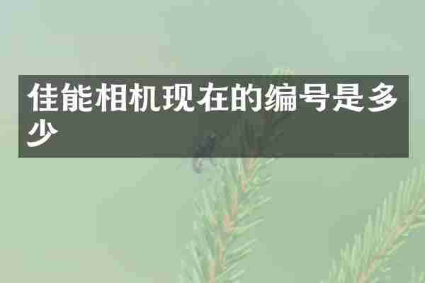 佳能相机现在的编号是多少