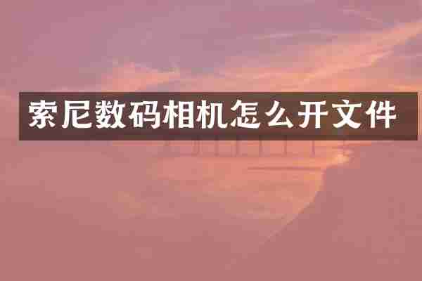 数码相机怎么开文件