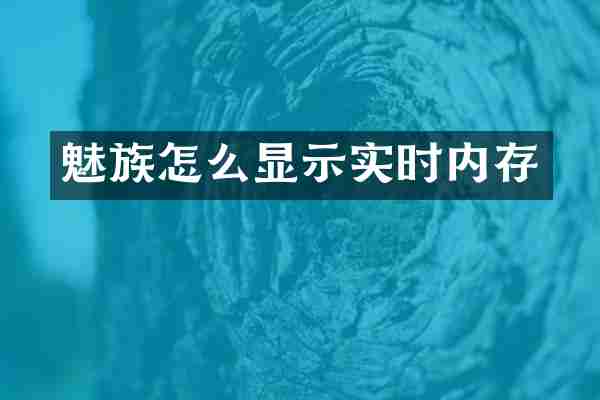 魅族怎么显示实时内存
