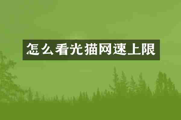 怎么看光猫网速上限