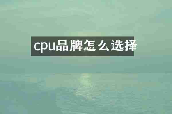 cpu品牌怎么选择
