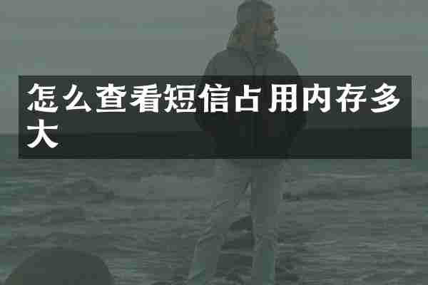 怎么查看短信占用内存多大