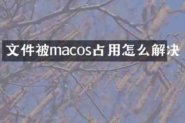 文件被macos占用怎么解决