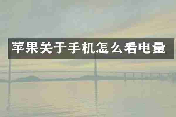 苹果关于手机怎么看电量