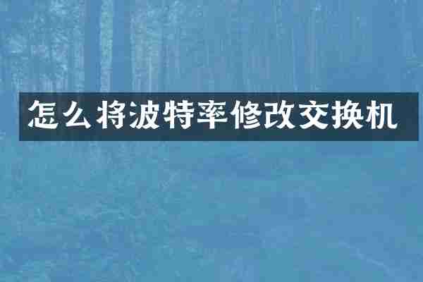怎么将波特率修改交换机