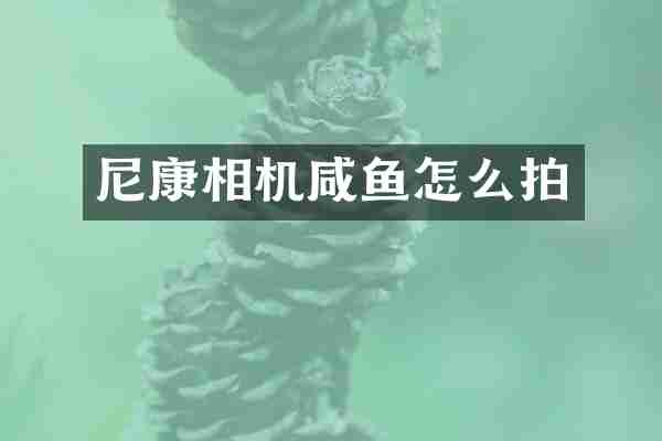 尼康相机咸鱼怎么拍