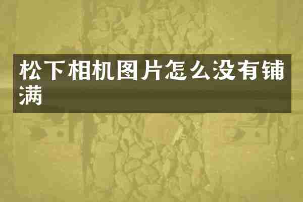 松下相机图片怎么没有铺满