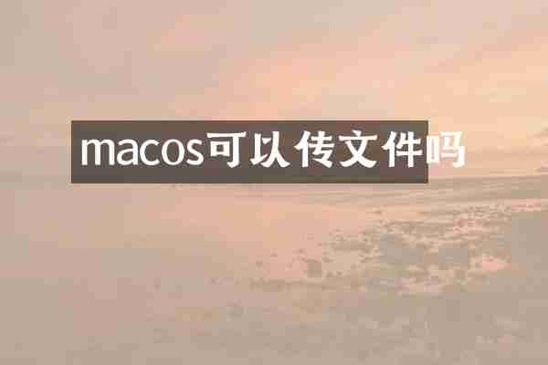macos可以传文件吗