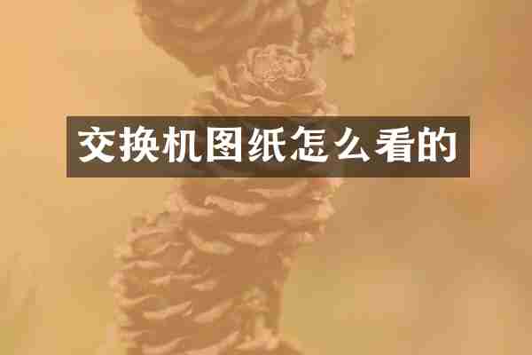 交换机图纸怎么看的