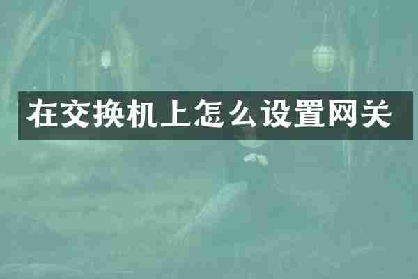 在交换机上怎么设置网关