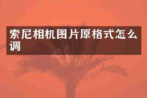 索尼相机图片原格式怎么调