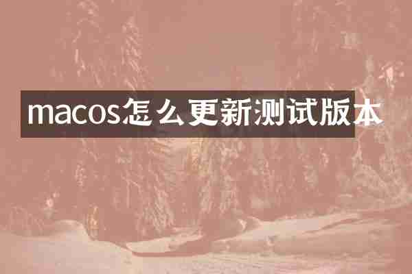 macos怎么更新测试版本