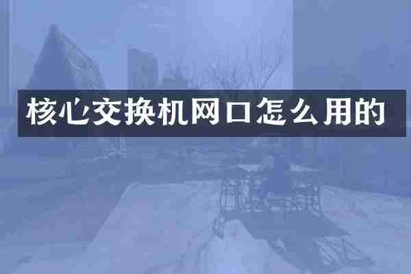 核心交换机网口怎么用的