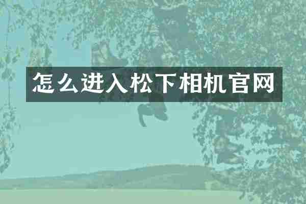 怎么进入松下相机官网