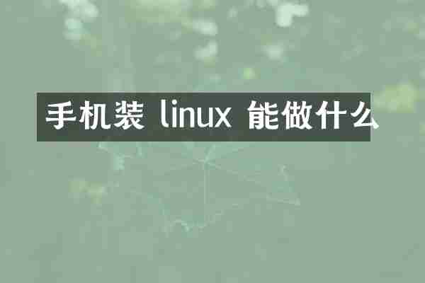 手机装 linux 能做什么