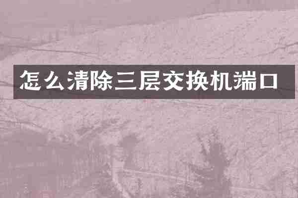 怎么清除三层交换机端口