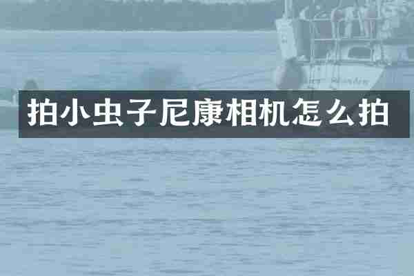 拍小虫子尼康相机怎么拍