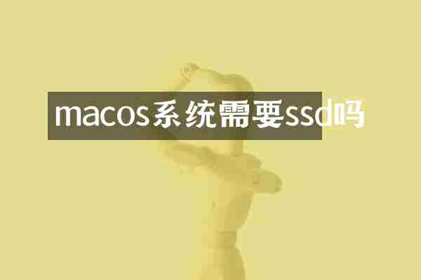 macos系统需要ssd吗