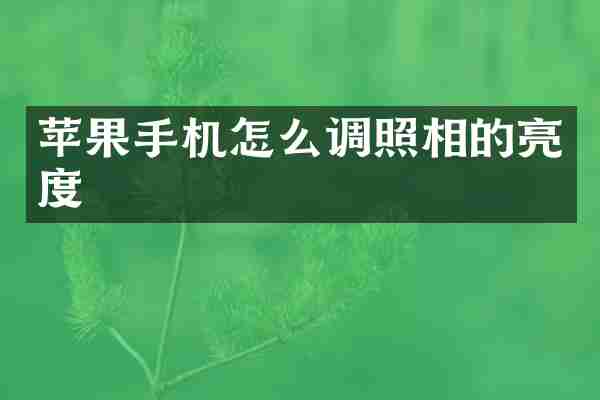 苹果手机怎么调照相的亮度