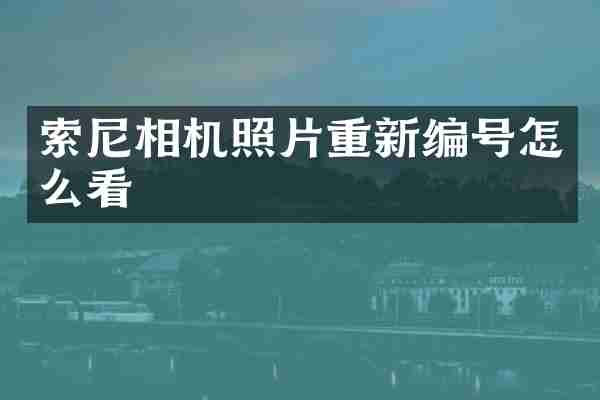 索尼相机照片重新编号怎么看