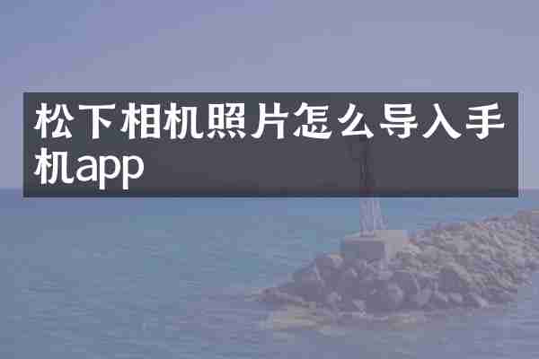 松下相机照片怎么导入手机app