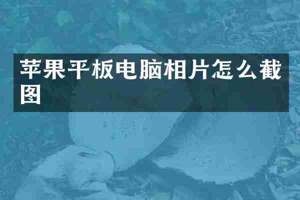 苹果平板电脑相片怎么截图