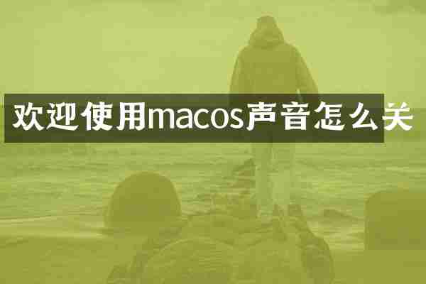 欢迎使用macos声音怎么关