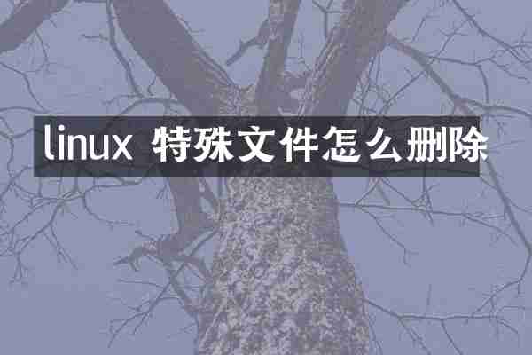 linux 特殊文件怎么删除