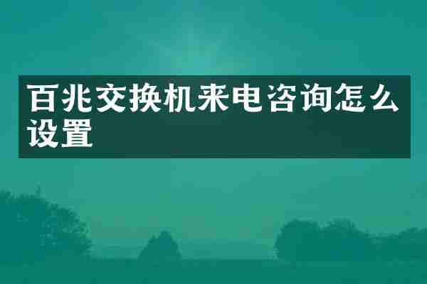 百兆交换机来电咨询怎么设置