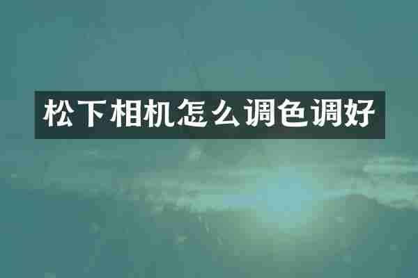 松下相机怎么调色调好