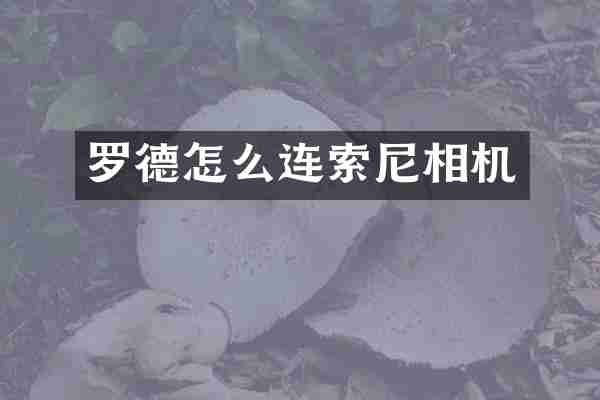 罗德怎么连相机