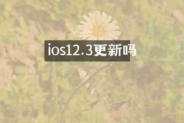 ios12.3更新吗