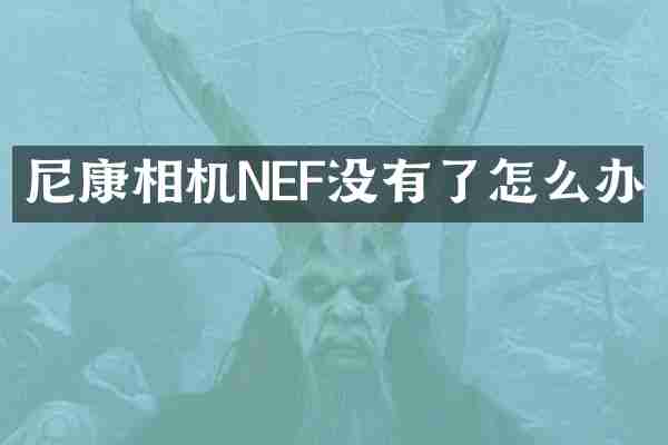 尼康相机NEF没有了怎么办