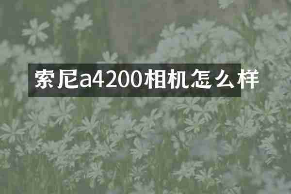 索尼a4200相机怎么样