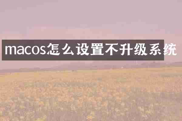 macos怎么设置不升级系统