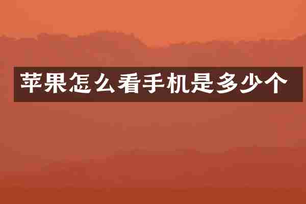 苹果怎么看手机是多少个