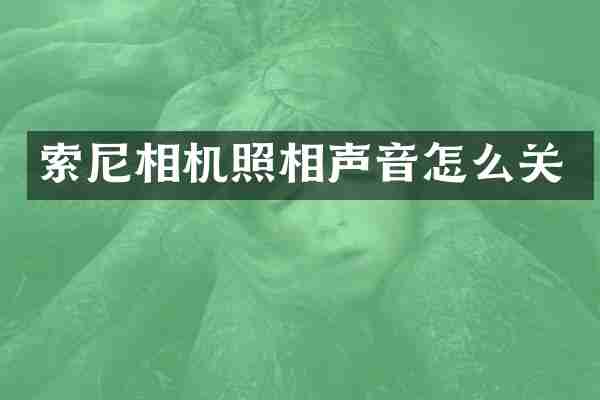 索尼相机照相声音怎么关
