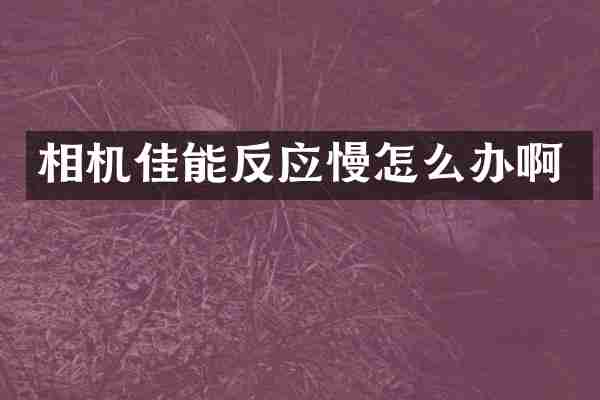 相机佳能反应慢怎么办啊