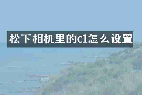 松下相机里的c1怎么设置