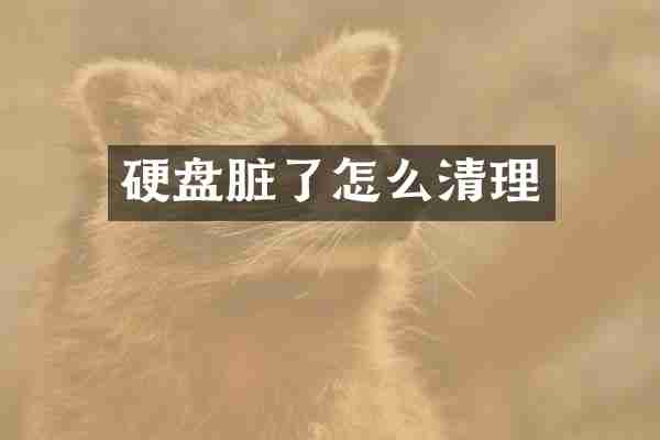 硬盘脏了怎么清理