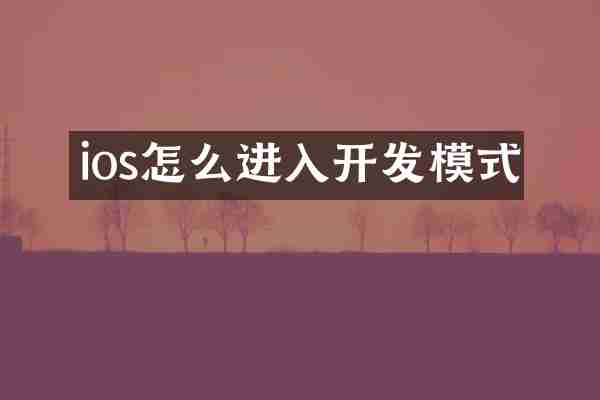 ios怎么进入开发模式