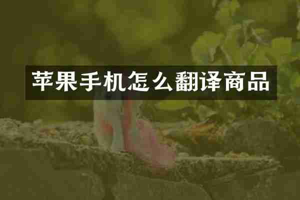 苹果手机怎么翻译商品