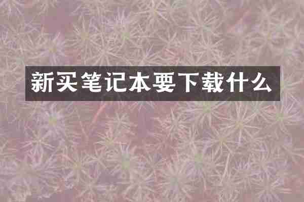新买笔记本要下载什么