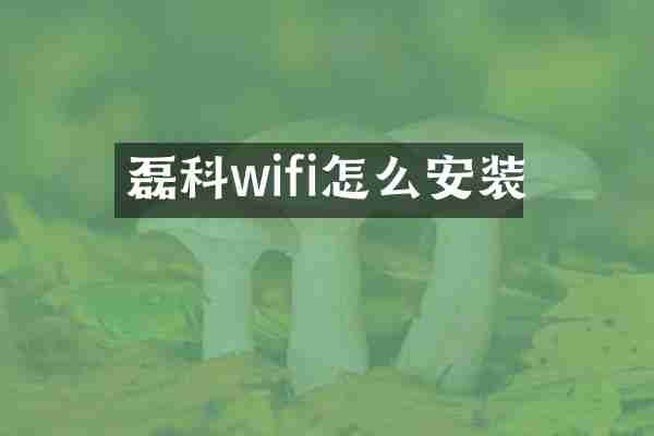 磊科wifi怎么安装