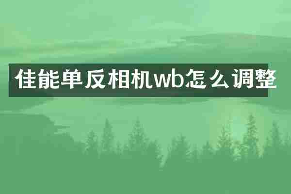 佳能单反相机wb怎么调整