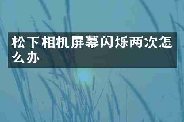 松下相机屏幕闪烁两次怎么办