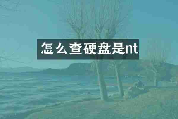 怎么查硬盘是nt