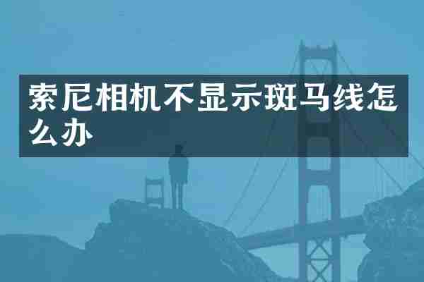 索尼相机不显示斑马线怎么办